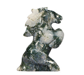 Mosagaat steigerend paard