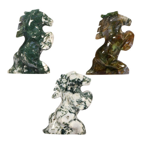 Mosagaat steigerend paard