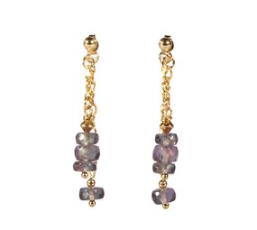 Gouden (14k) met gold filled oorstekers alexandriet