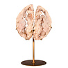 Amethist (roze) A-kwaliteit paar op standaard 16 x 16 x 1,5 cm | 1060 gram