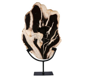 Versteend hout schijf gepolijst op standaard 37 x 25,6 x 2,1 cm | 2,4 kg