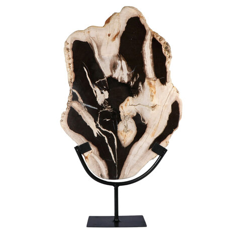 Versteend hout schijf gepolijst op standaard 37 x 25,6 x 2,1 cm | 2,4 kg