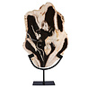 Versteend hout schijf gepolijst op standaard 37 x 25,6 x 2,1 cm | 2,4 kg