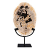Versteend hout schijf gepolijst op standaard 30 x 19,8 x 2,3 cm | 2,10 kg