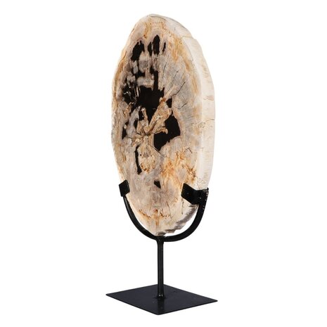 Versteend hout schijf gepolijst op standaard 30 x 19,8 x 2,3 cm | 2,10 kg