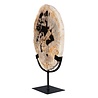 Versteend hout schijf gepolijst op standaard 30 x 19,8 x 2,3 cm | 2,10 kg