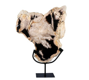 Versteend hout schijf gepolijst op standaard 35,3 x 31,6 x 3,9 cm | 2,75 kg