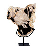 Versteend hout schijf gepolijst op standaard 35,3 x 31,6 x 3,9 cm | 2,75 kg
