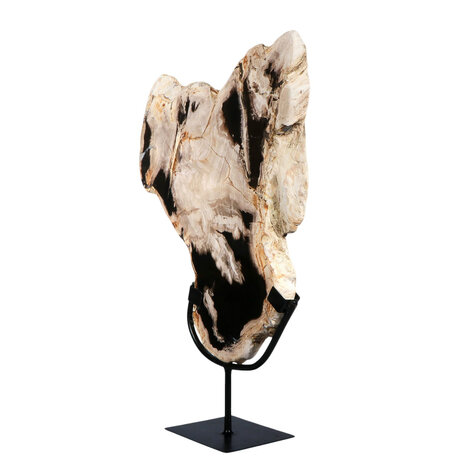 Versteend hout schijf gepolijst op standaard 35,3 x 31,6 x 3,9 cm | 2,75 kg