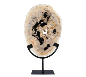 Versteend hout schijf gepolijst op standaard 29 x 20,5 x 2,2 cm | 2,15 kg