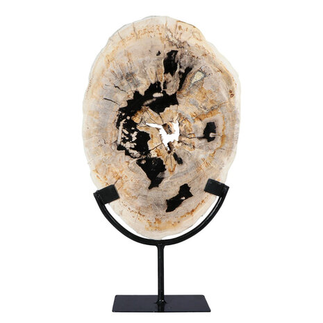 Versteend hout schijf gepolijst op standaard 29 x 20,5 x 2,2 cm | 2,15 kg