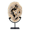 Versteend hout schijf gepolijst op standaard 29 x 20,5 x 2,2 cm | 2,15 kg
