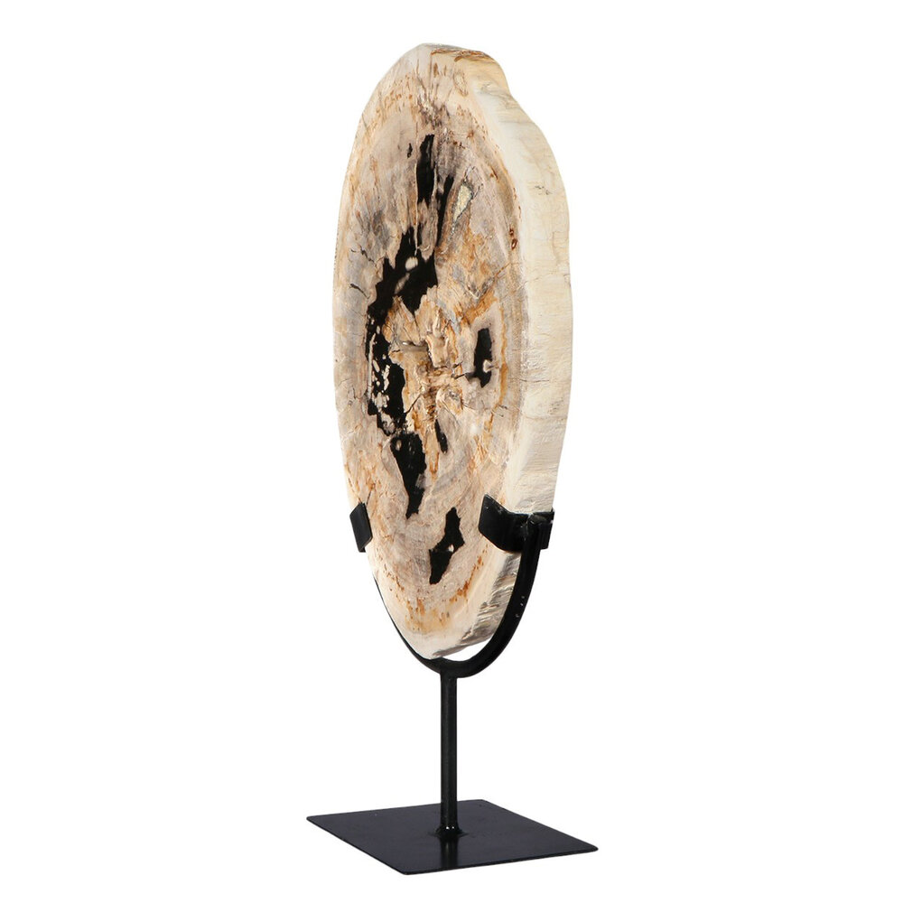 Versteend hout schijf gepolijst op standaard 29 x 20,5 x 2,2 cm | 2,15 kg