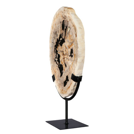 Versteend hout schijf gepolijst op standaard 29 x 20,5 x 2,2 cm | 2,15 kg