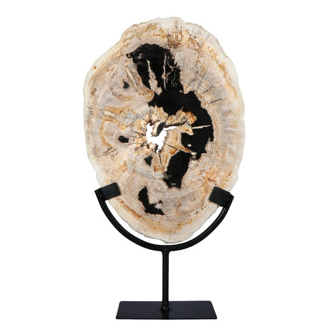 Versteend hout schijf gepolijst op standaard 29 x 20,5 x 2,2 cm | 2,15 kg