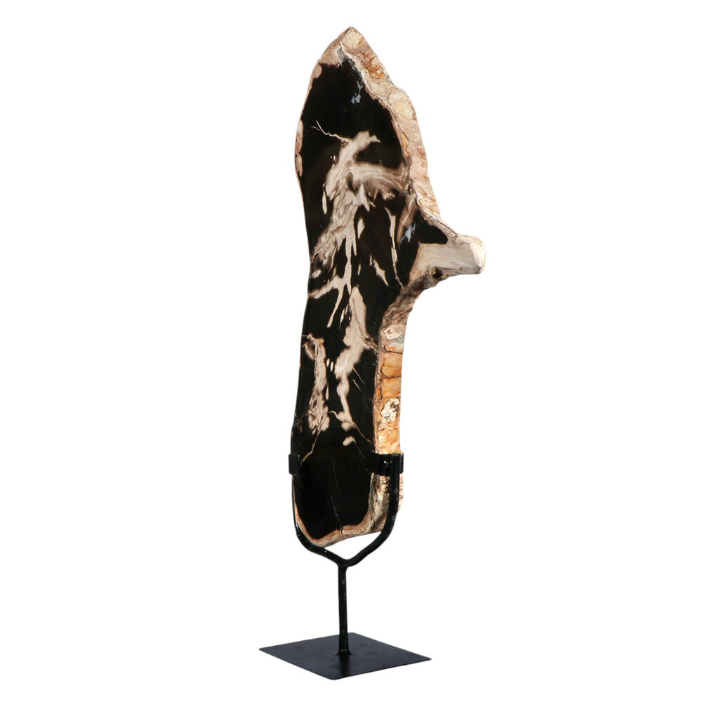 Versteend hout schijf gepolijst op standaard 44,6 x 29 x 3,9 cm | 3,1 kg