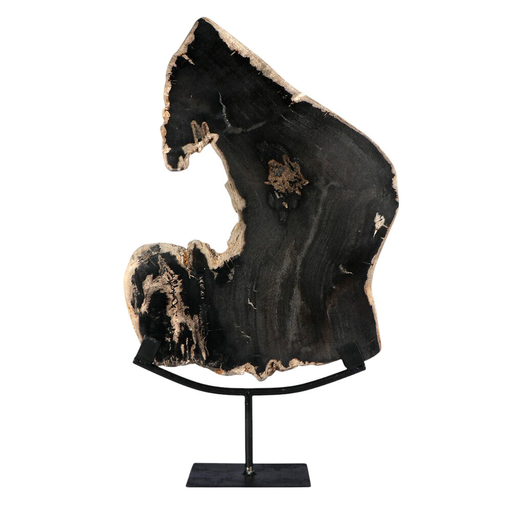 Versteend hout schijf gepolijst op standaard 37,5 x 28,7 x 2,3 cm | 3,1 kg