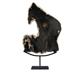 Versteend hout schijf gepolijst op standaard 37,5 x 28,7 x 2,3 cm | 3,1 kg