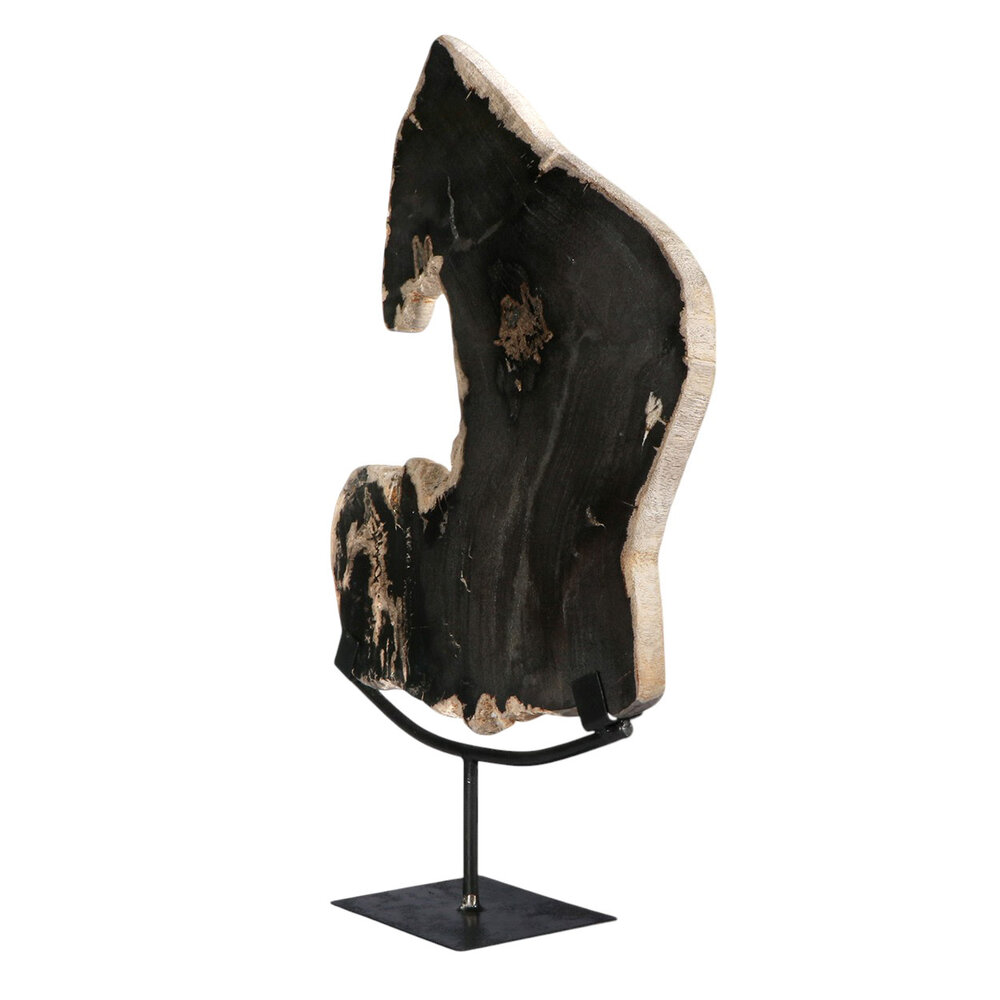 Versteend hout schijf gepolijst op standaard 37,5 x 28,7 x 2,3 cm | 3,1 kg