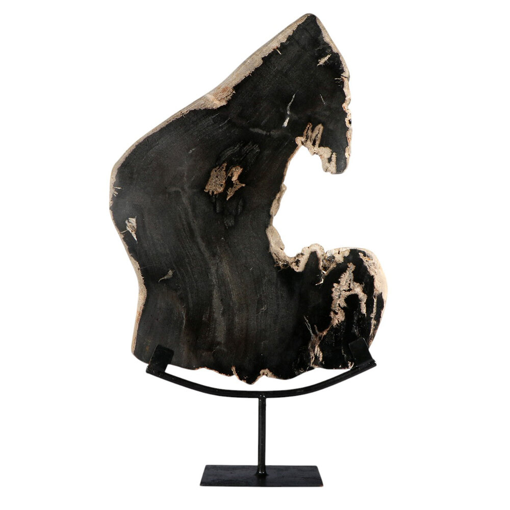 Versteend hout schijf gepolijst op standaard 37,5 x 28,7 x 2,3 cm | 3,1 kg