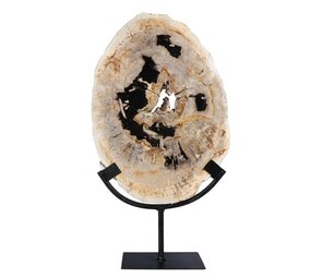 Versteend hout schijf gepolijst op standaard 28,4 x 20,6 x 2,3 cm | 2,15 kg