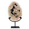 Versteend hout schijf gepolijst op standaard 28,4 x 20,6 x 2,3 cm | 2,15 kg