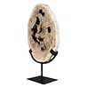Versteend hout schijf gepolijst op standaard 28,4 x 20,6 x 2,3 cm | 2,15 kg