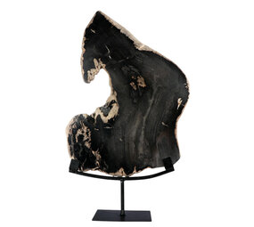 Versteend hout schijf gepolijst op standaard 37 x 23,7 x 2,3 cm | 3,25 kg