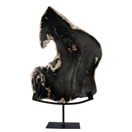 Versteend hout schijf gepolijst op standaard 37 x 23,7 x 2,3 cm | 3,25 kg