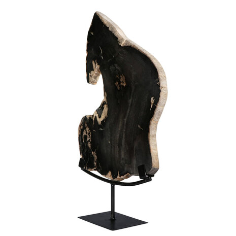 Versteend hout schijf gepolijst op standaard 37 x 23,7 x 2,3 cm | 3,25 kg