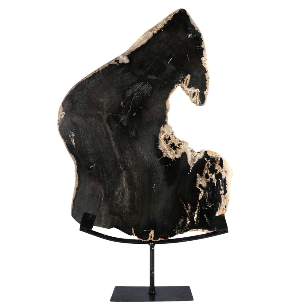 Versteend hout schijf gepolijst op standaard 37 x 23,7 x 2,3 cm | 3,25 kg