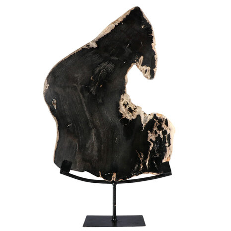 Versteend hout schijf gepolijst op standaard 37 x 23,7 x 2,3 cm | 3,25 kg