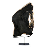 Versteend hout schijf gepolijst op standaard 40 x 25,3 x 2,5 cm | 3,4 kg Versteend hout schijf gepolijst op standaard 40 x 25,3 x 2,5 cm | 3,4 kg