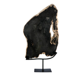 Versteend hout schijf gepolijst op standaard 40 x 25,3 x 2,5 cm | 3,4 kg