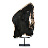 Versteend hout schijf gepolijst op standaard 40 x 25,3 x 2,5 cm | 3,4 kg