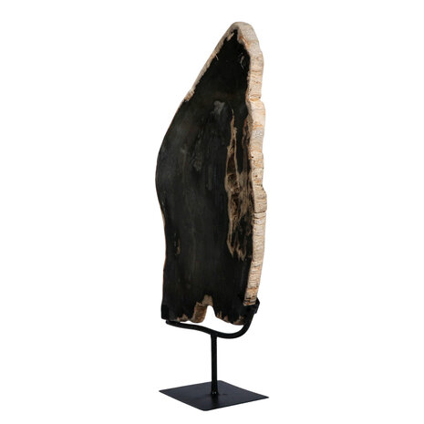 Versteend hout schijf gepolijst op standaard 40 x 25,3 x 2,5 cm | 3,4 kg