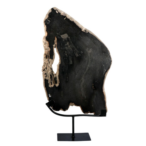 Versteend hout schijf gepolijst op standaard 40 x 25,3 x 2,5 cm | 3,4 kg