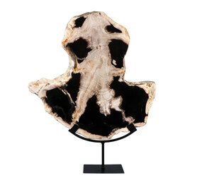 Versteend hout schijf gepolijst op standaard 38 x 38 x 2,9 cm | 3,65 kg Versteend hout schijf gepolijst op standaard 38 x 38 x 2,9 cm | 3,65 kg