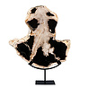 Versteend hout schijf gepolijst op standaard 38 x 38 x 2,9 cm | 3,65 kg Versteend hout schijf gepolijst op standaard 38 x 38 x 2,9 cm | 3,65 kg