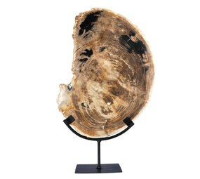 Versteend hout schijf gepolijst op standaard 36,8 x 26,5 x 2,2 cm | 3,85 kg