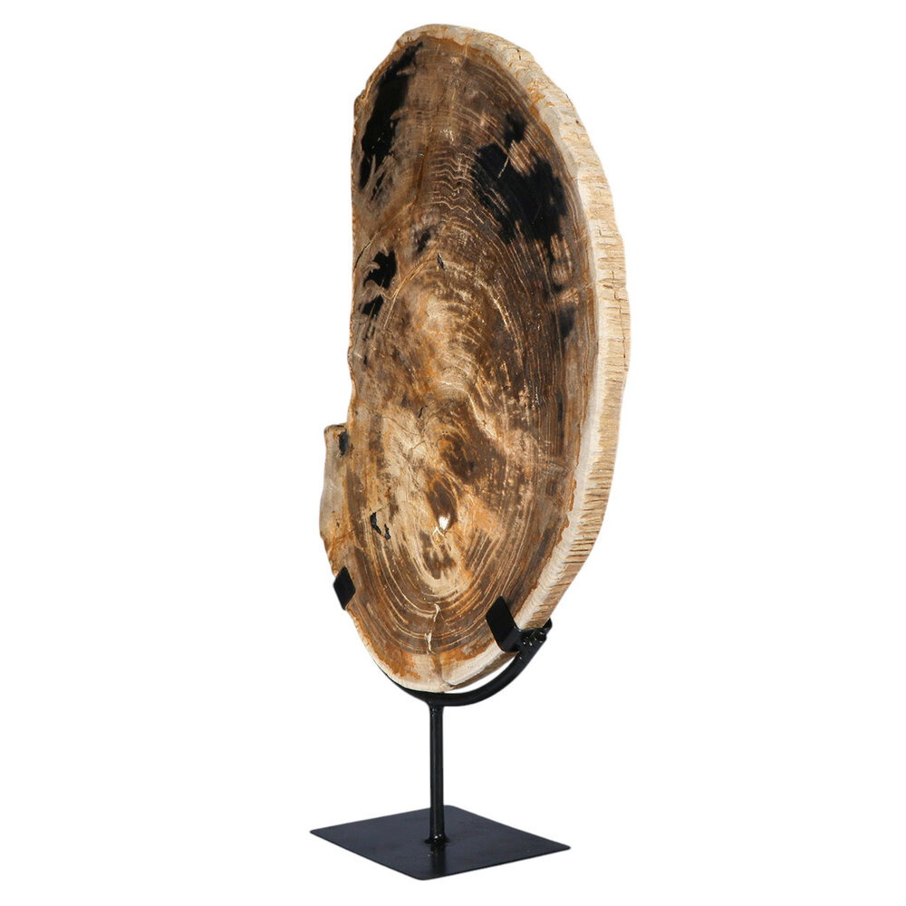 Versteend hout schijf gepolijst op standaard 36,8 x 26,5 x 2,2 cm | 3,85 kg