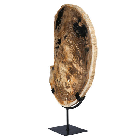 Versteend hout schijf gepolijst op standaard 36,8 x 26,5 x 2,2 cm | 3,85 kg
