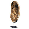 Versteend hout schijf gepolijst op standaard 36,8 x 26,5 x 2,2 cm | 3,85 kg