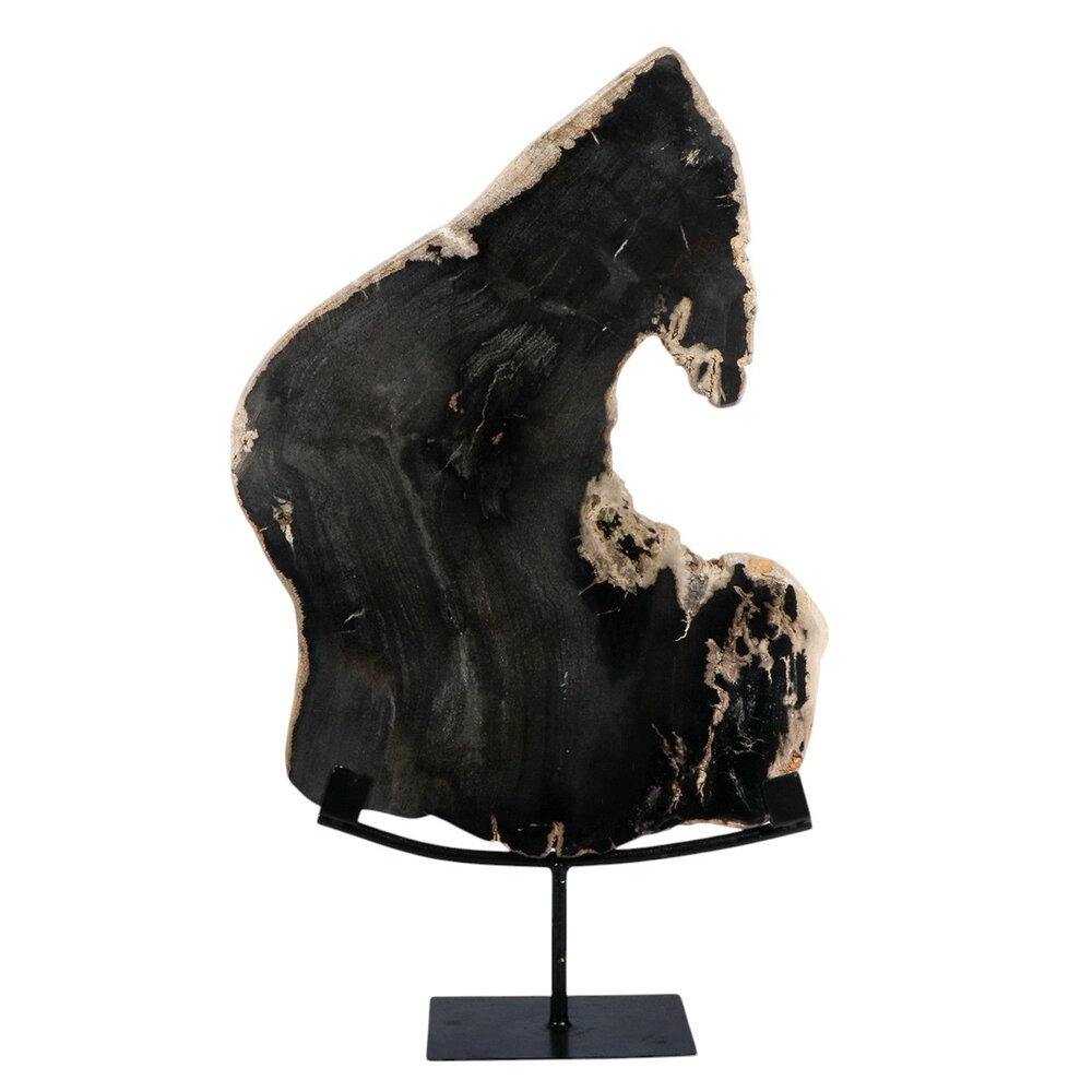 Versteend hout schijf gepolijst op standaard 52,5 x 42,5 x 2,3 cm | 4,1 kg