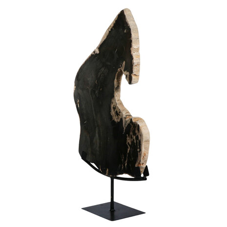 Versteend hout schijf gepolijst op standaard 52,5 x 42,5 x 2,3 cm | 4,1 kg