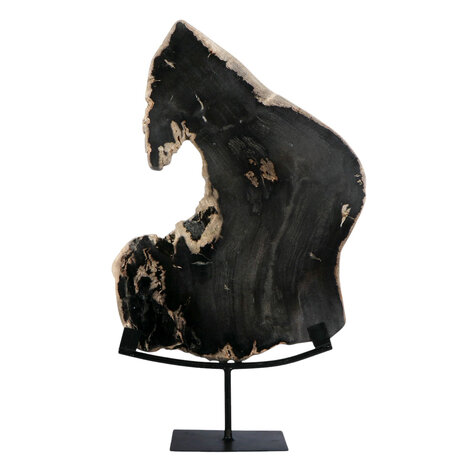 Versteend hout schijf gepolijst op standaard 52,5 x 42,5 x 2,3 cm | 4,1 kg
