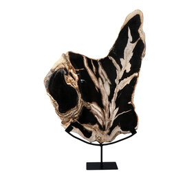 Versteend hout schijf gepolijst op standaard 52,3 x 35,5 x 2,7 cm | 4,7 kg