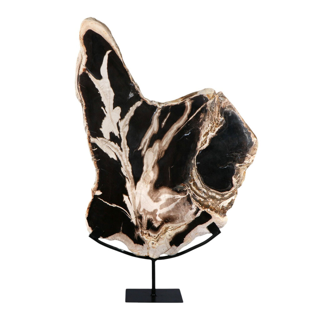 Versteend hout schijf gepolijst op standaard 52,3 x 35,5 x 2,7 cm | 4,7 kg