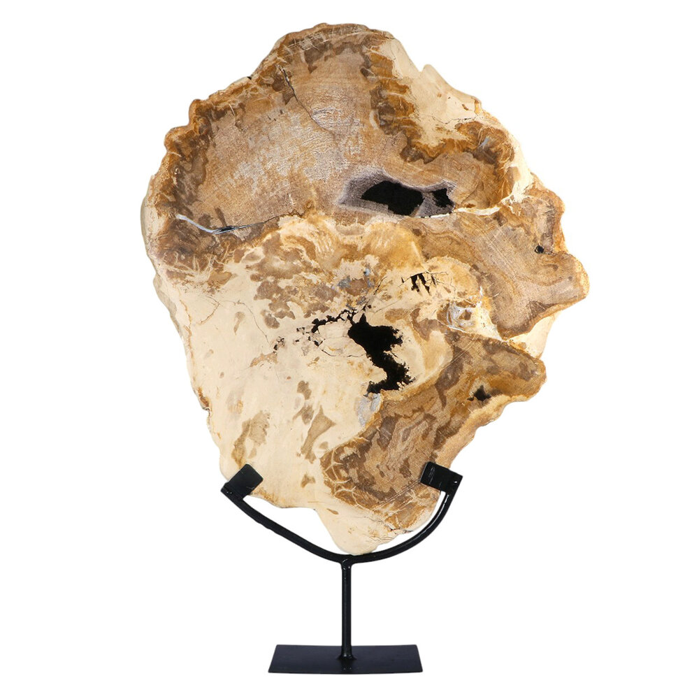 Versteend hout schijf gepolijst op standaard 43,3 x 36 x 2,3 cm | 5,3 kg
