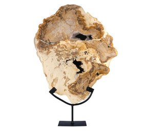 Versteend hout schijf gepolijst op standaard 43,3 x 36 x 2,3 cm | 5,3 kg